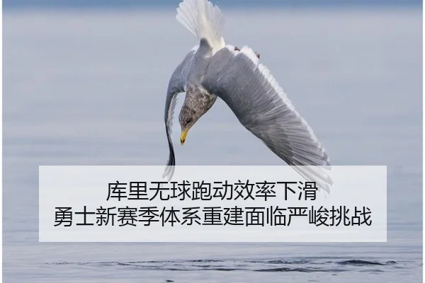 ku-li-wu-qiu-pao-dong-xiao-lv-xia-hua-yong-shi-xin-sai-ji-ti-xi-chong-jian-mian-lin-yan-jun-tiao-zhan-3-675.jpg