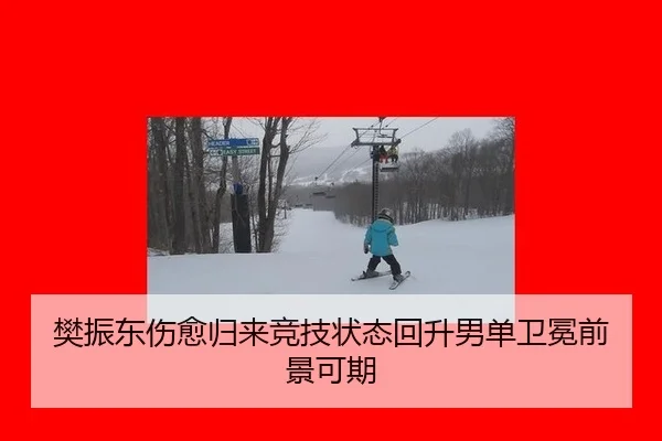樊振东伤愈归来竞技状态回升男单卫冕前景可期