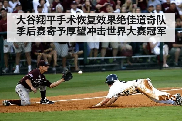 baseball playoff action
