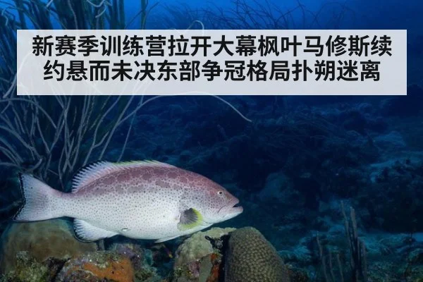 新赛季训练营拉开大幕枫叶马修斯续约悬而未决东部争冠格局扑朔迷离